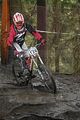 231__DSC0231 (2)